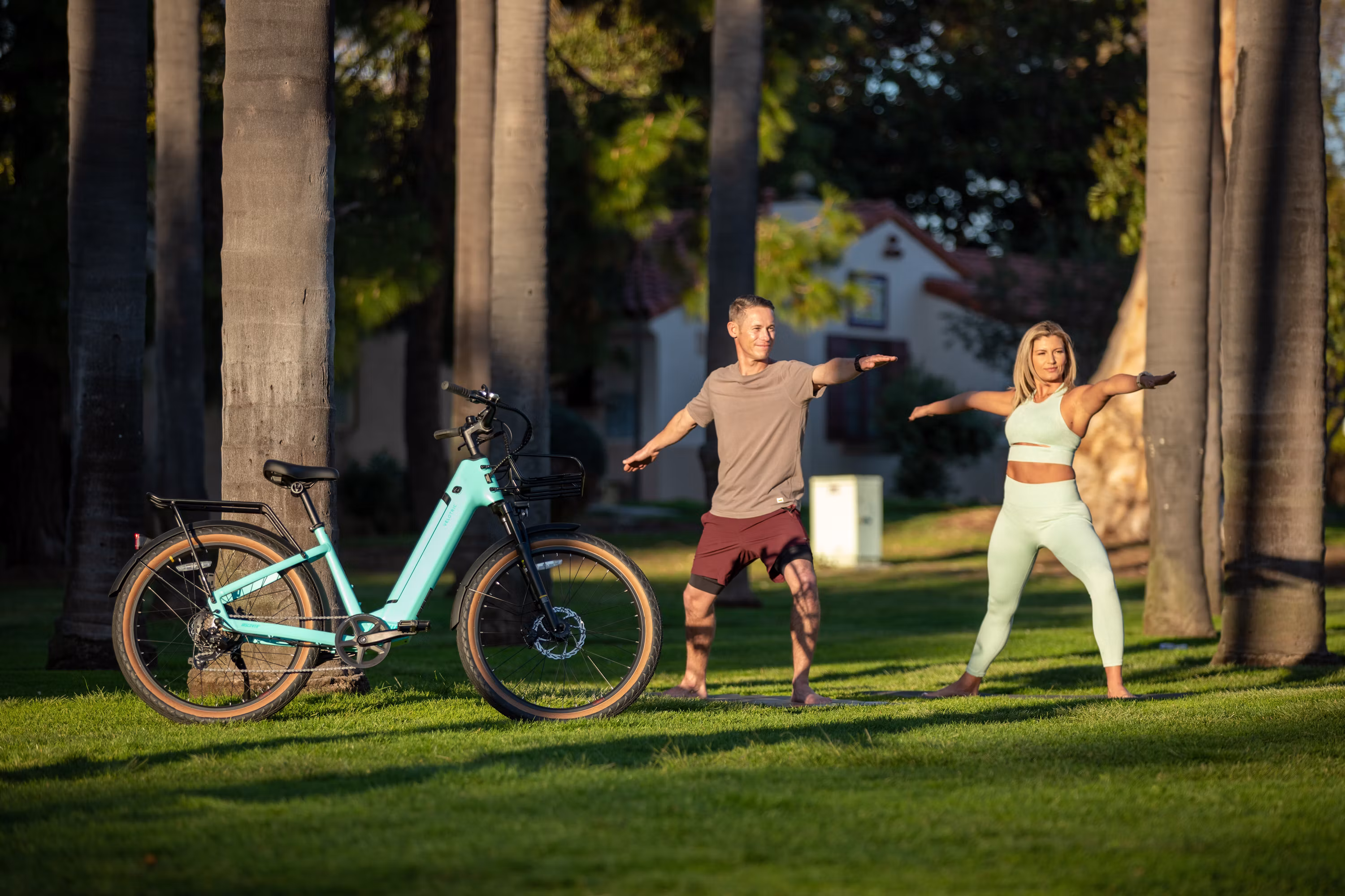 Velotric products